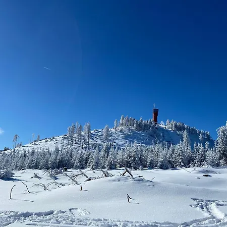 Bergtraum Im Harz, 17 Gaeste, Sauna, Pool * Braunlage
