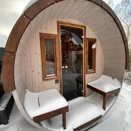 Bergtraum Im Harz, 17 Gaeste, Sauna, Pool Holiday home