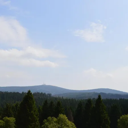 Bergtraum Im Harz, 17 Gaeste, Sauna, Pool Holiday home Braunlage