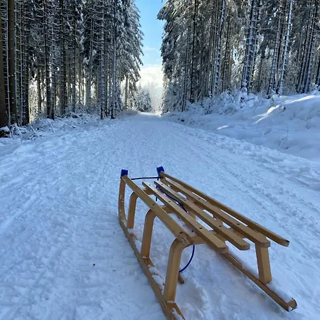 Nyaraló Bergtraum Im Harz, 17 Gaeste, Sauna, Pool Braunlage